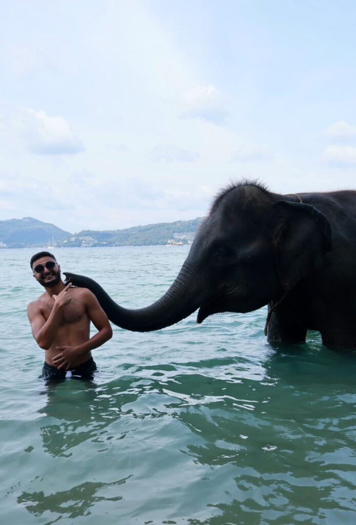 elephant phuket