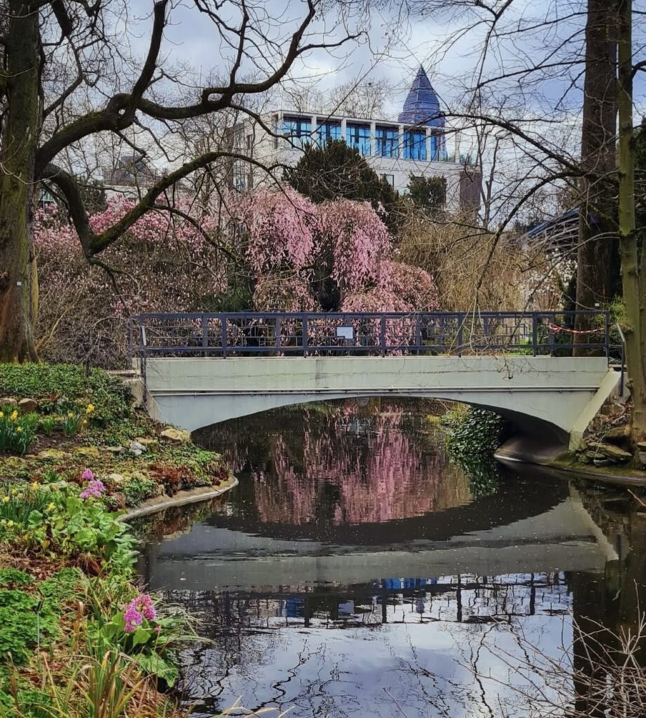 Palmengarten
