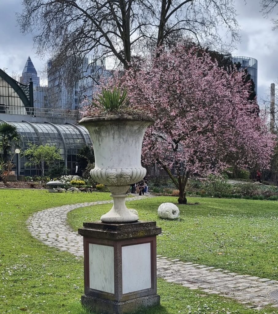 Palmengarten